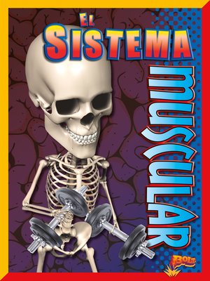 cover image of El sistema muscular